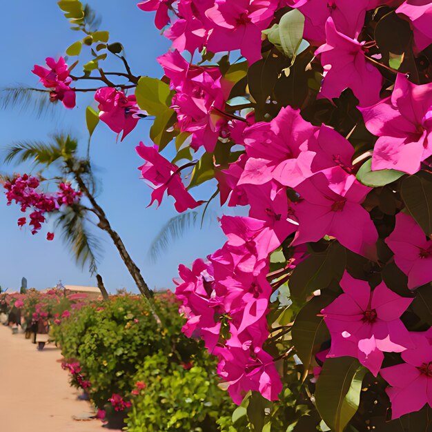 Photo a pink flower is growing on a tree