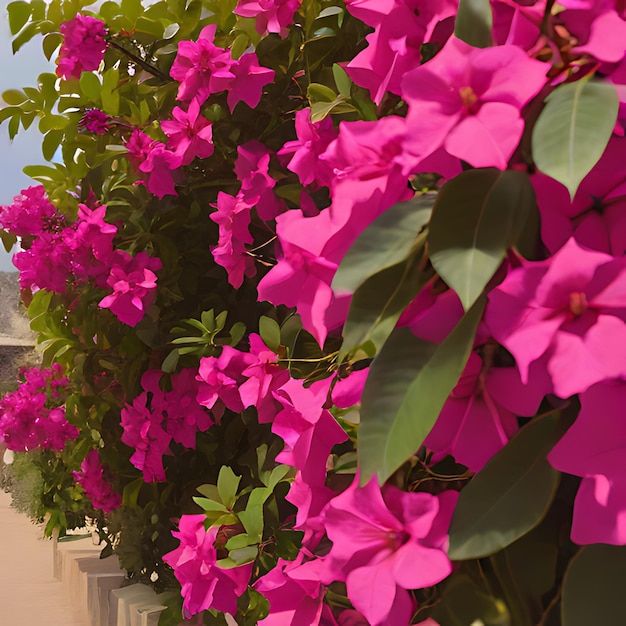 Photo a pink flower is growing on a wall