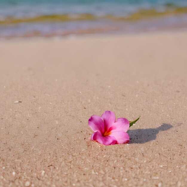 Photo a pink flower is on the sand in the sand