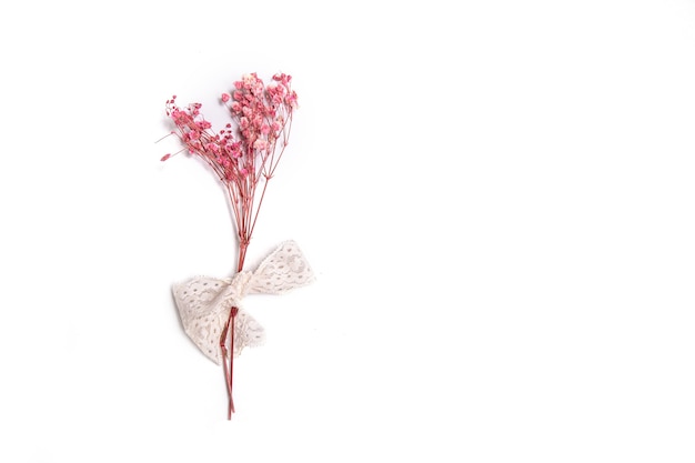 白で隔離のピンクの花