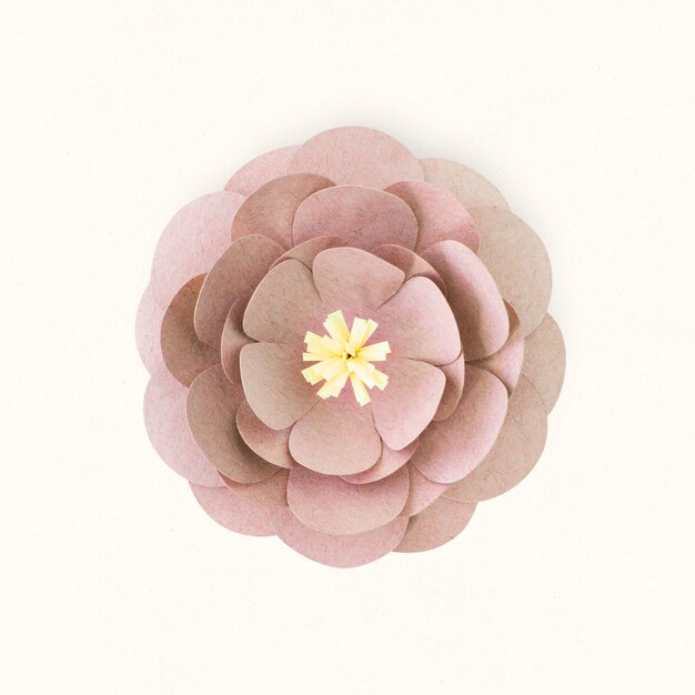 Photo pink flower paper craft