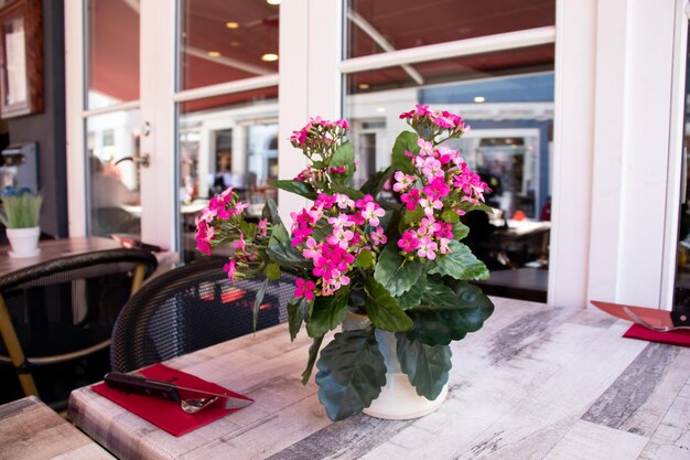 Pink flower in a pot on a table in a restaurant. restaurant
table.