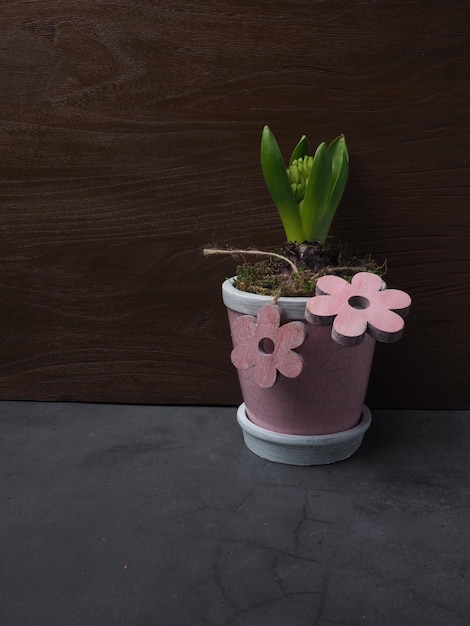 A pink flower in a pot with a pink flower on it.