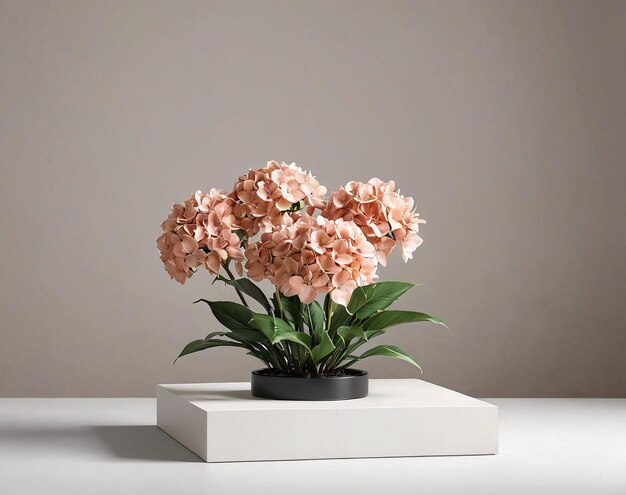 a pink flower in a white vase on a white table