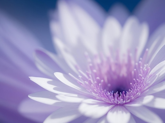 Pink flower with ethereal blue halos textured floral elegance