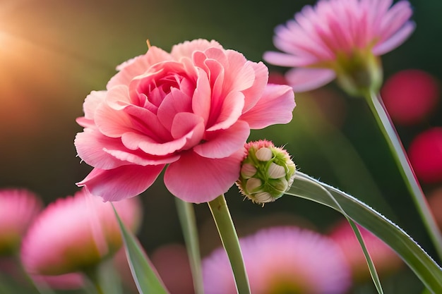 ピンクの花の中心に緑のつぼみがあります