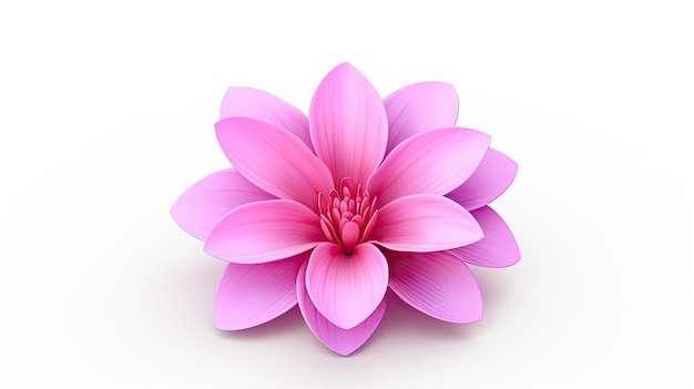 pink flower with a pink flower on a white background
