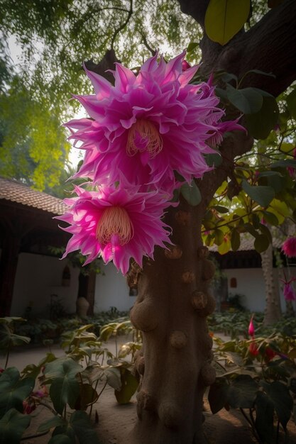 白地にピンクの花