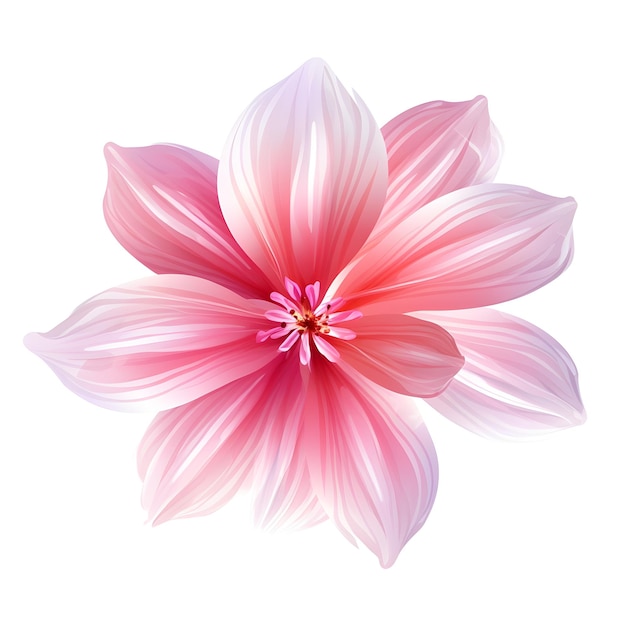 Premium AI Image | A pink flower with a white background