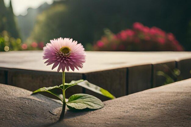 A pink flower with the word flower on it