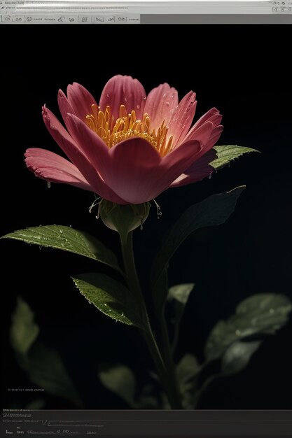 A pink flower with a yellow center and a green stem.