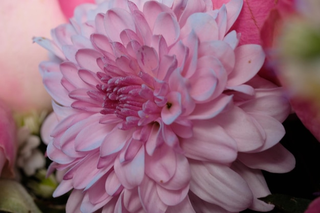 A pink flower with a yellow center is in a vase.