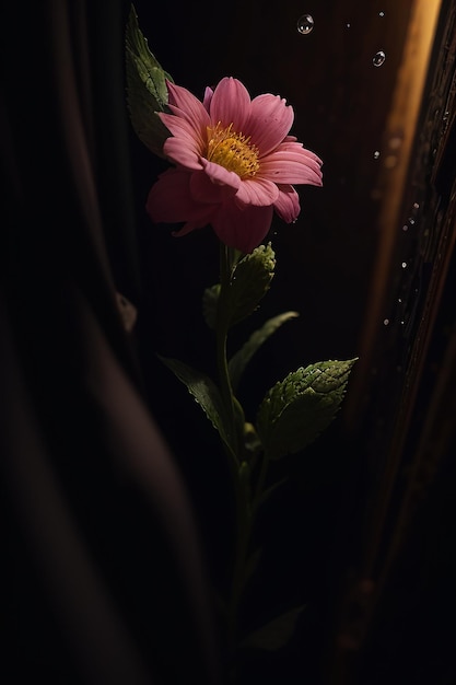 Розовый цветок с желтым центром