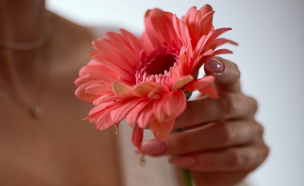 Pink flower in a woman's hand