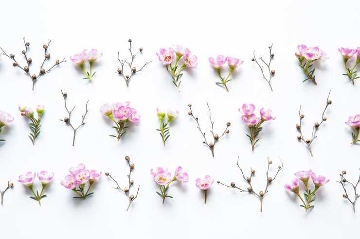 Photo 바탕 에 분홍색 꽃