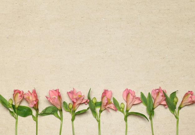 Photo pink flowers on beige stone texture