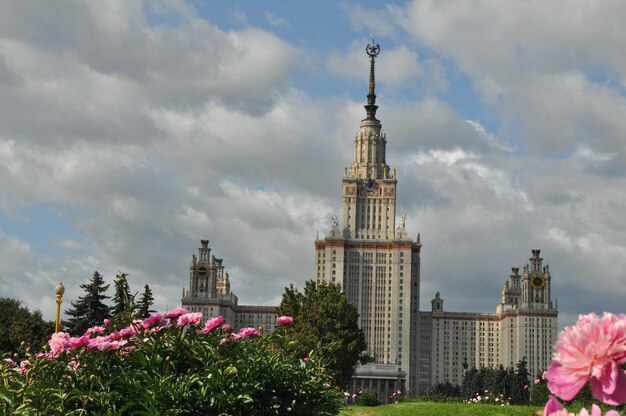 Pink flowers blooming in park against cloudy sky