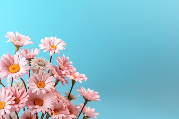 Pink flowers on a blue background