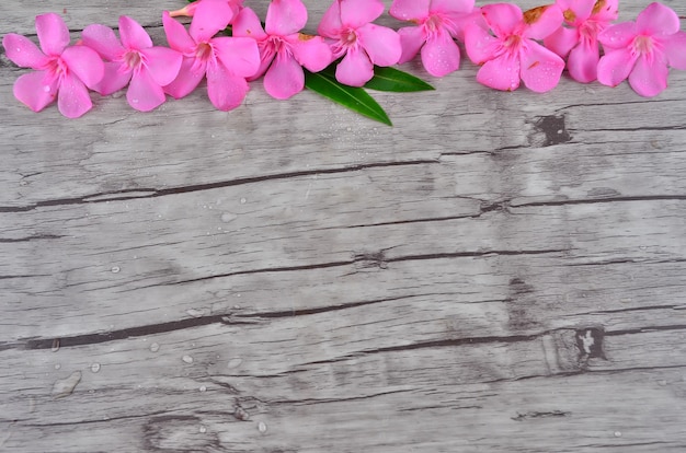 Bordo di fiori rosa su motivo in legno