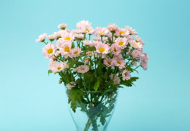 Pink flowers on a colored minimal background. Floral background concept