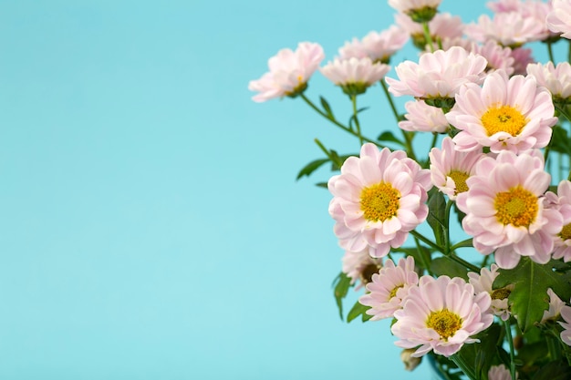 色付きの最小限の背景にピンクの花。花の背景のコンセプト