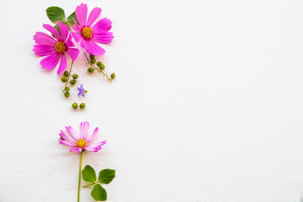 pink flowers cosmos arrangement flat lay style