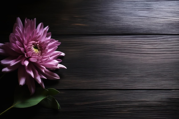 暗い木製の背景にピンクの花