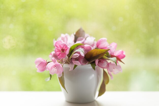 Pink flowers of decorative apple tree in a small white vase on a windowsill