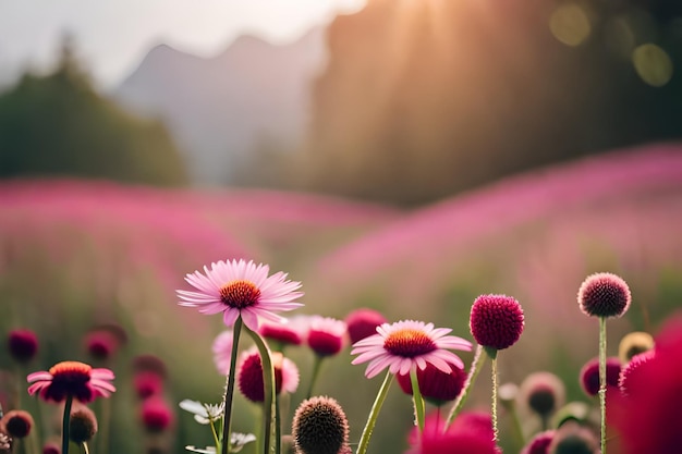 pink flowers in a field of pink flowers