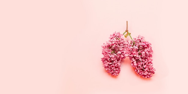 pink flowers in the form of a light pink 