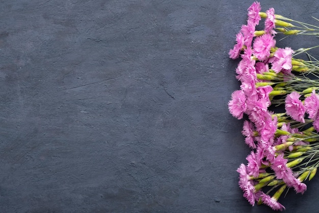 Pink flowers of garden carnation on a dark stone background Top view Copy space