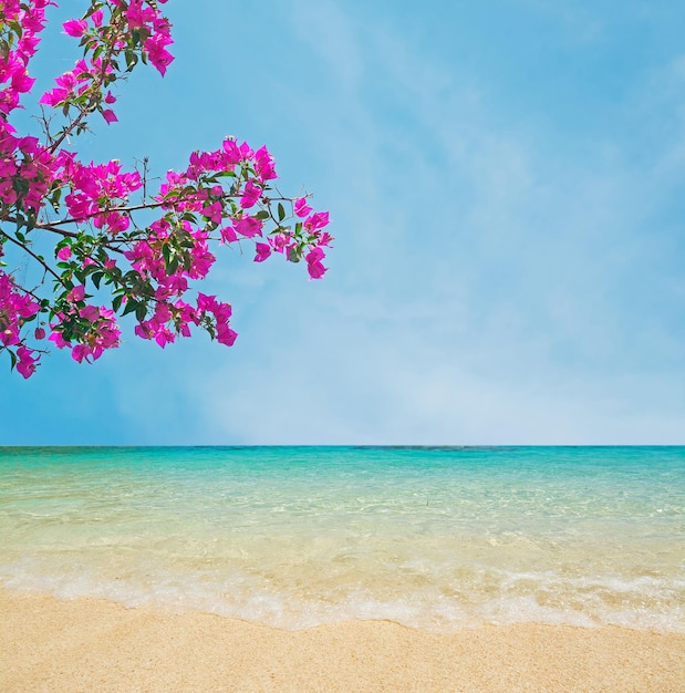 Pink flowers over a golden shore