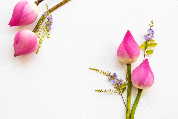 pink flowers lotus arrangement postcard style