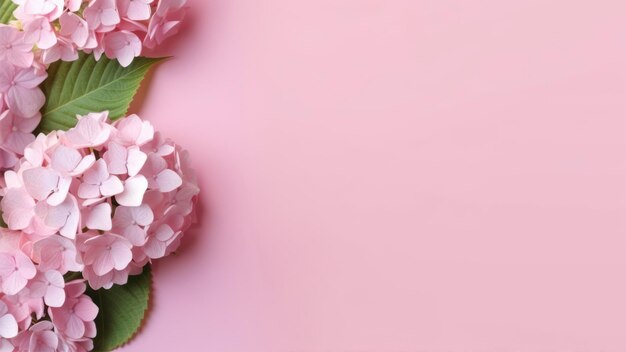 Pink flowers on a pink background