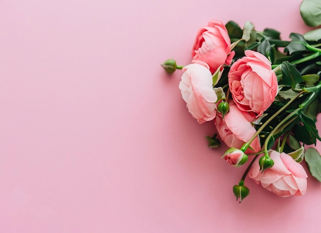 Pink flowers on a pink background