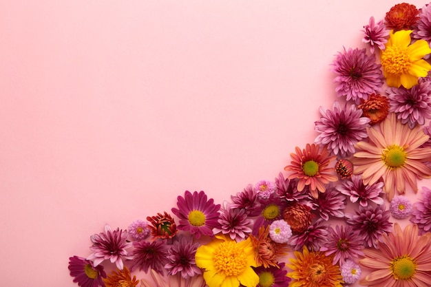 Pink flowers on pink paper background. Flower composition. Vertical photo