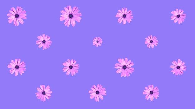 Pink flowers on a purple background