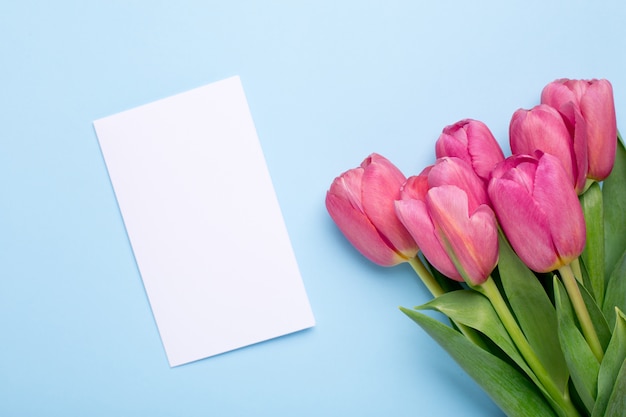 Pink flowers tulips and present card on a blue surface