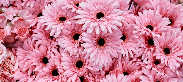 ピンクの花を背景に使用