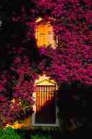 Photo pink flowers on the wall of an ancient countryhouse