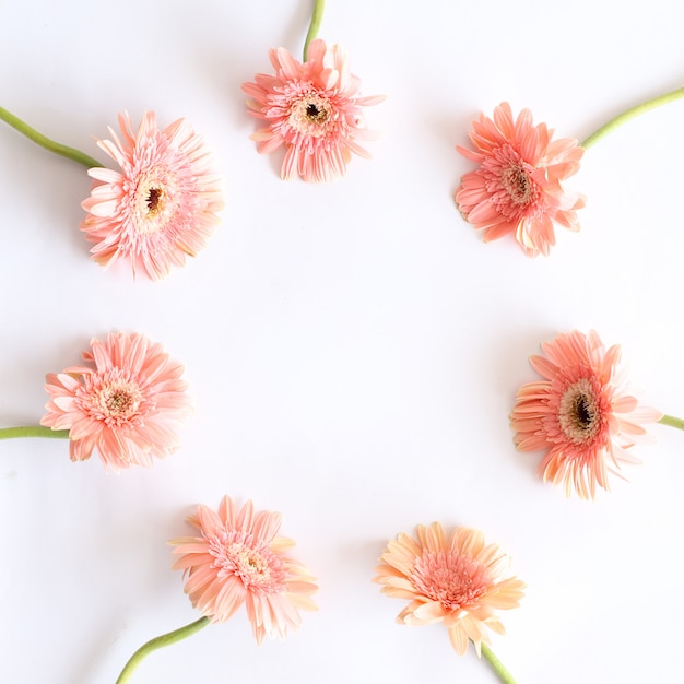 Pink Flowers on White Background for Anniversary, Birthday, Wedding Floral Frame