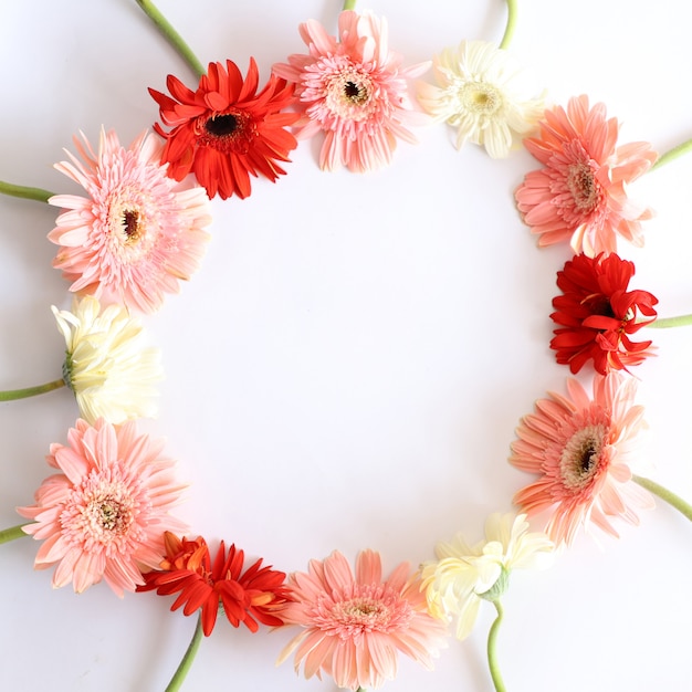 Pink Flowers on White Background for Anniversary, Birthday, Wedding Floral Frame