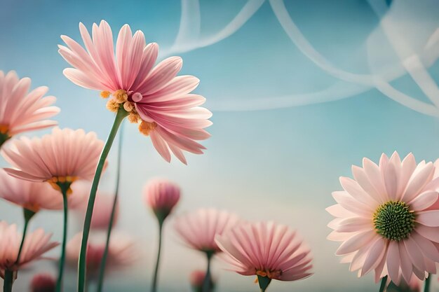 Pink flowers with the word