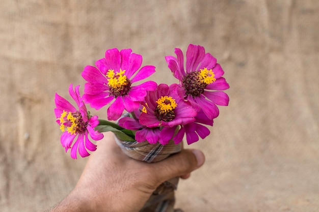 ピンクの花