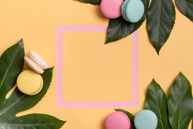 Pink frame with colorful macaroons