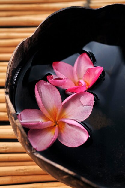 Photo pink frangipani in the coconut shell