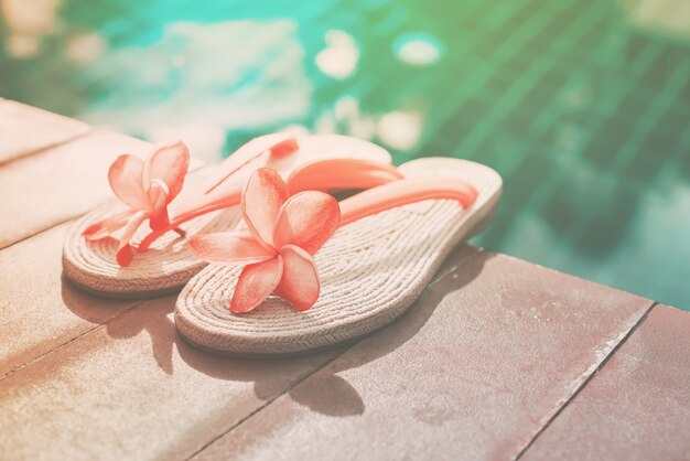 Pink Frangipani near Swimming Pool Copy Space