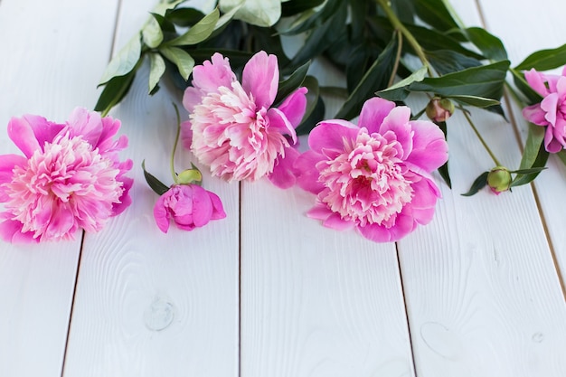 Fiori rosa freschi in vaso