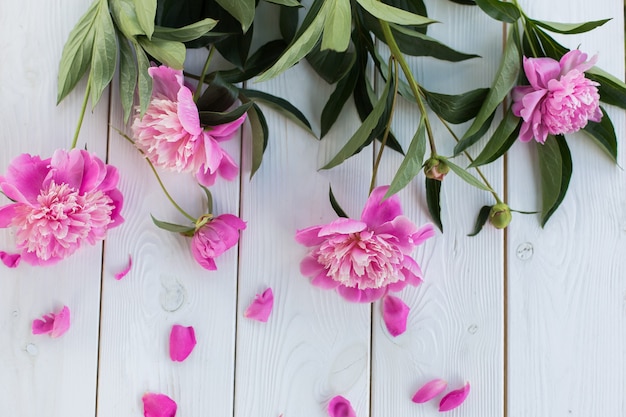 Pink fresh lowers in vase