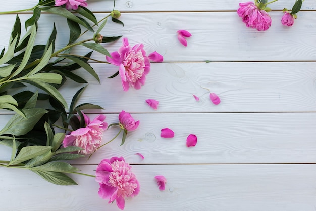 Pink fresh lowers in vase